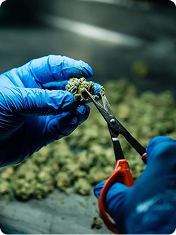 News thumbnail for: African Securities Exchanges Association and Pan-African Payment Settlement System Sign MoU to enhance cross-border trading