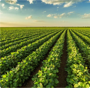 News thumbnail for: Umeme Limited Reports Q4 Earnings Above Expectations