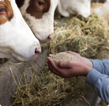 News thumbnail for: KCB Group Expands Regional Operations Across East Africa